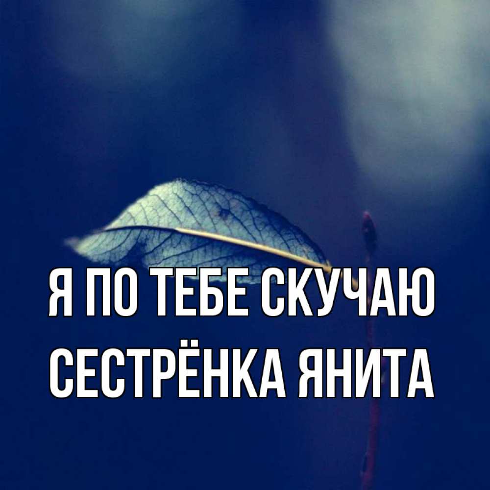 Открытка на каждый день с именем, Сестрёнка-Янита Я по тебе скучаю одна ветка 1 Прикольная открытка с пожеланием онлайн скачать бесплатно 