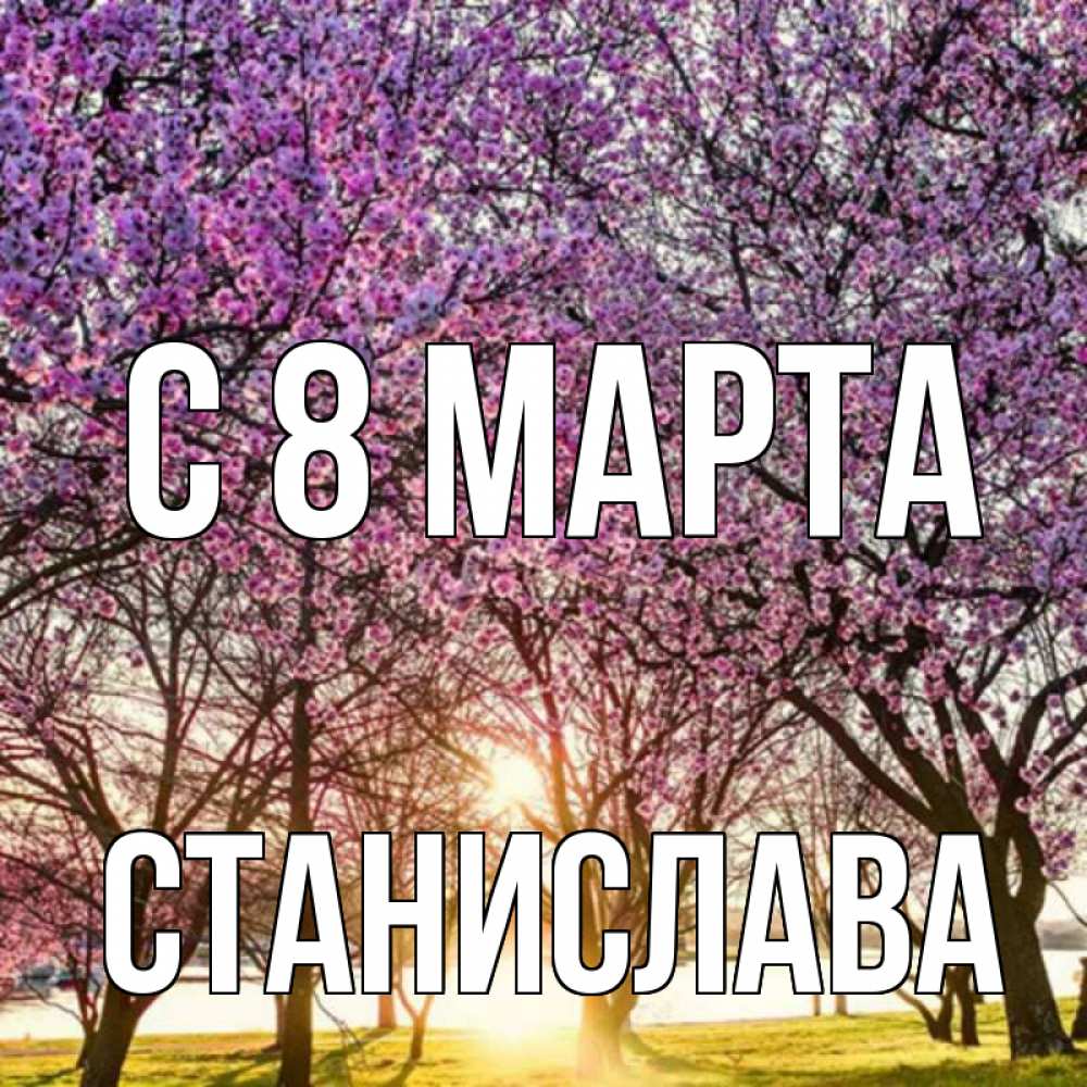 Открытка на каждый день с именем, Станислава С 8 МАРТА международный женский день Прикольная открытка с пожеланием онлайн скачать бесплатно 