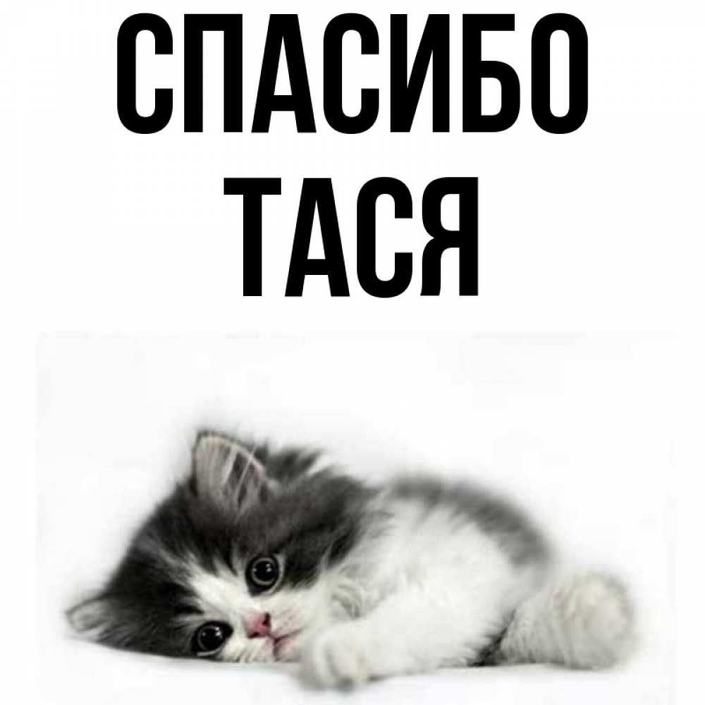 Тася имя полное