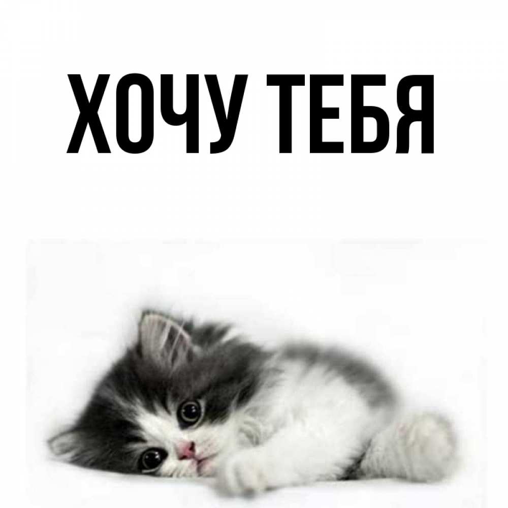 Картинка  с именем , Хочу тебя