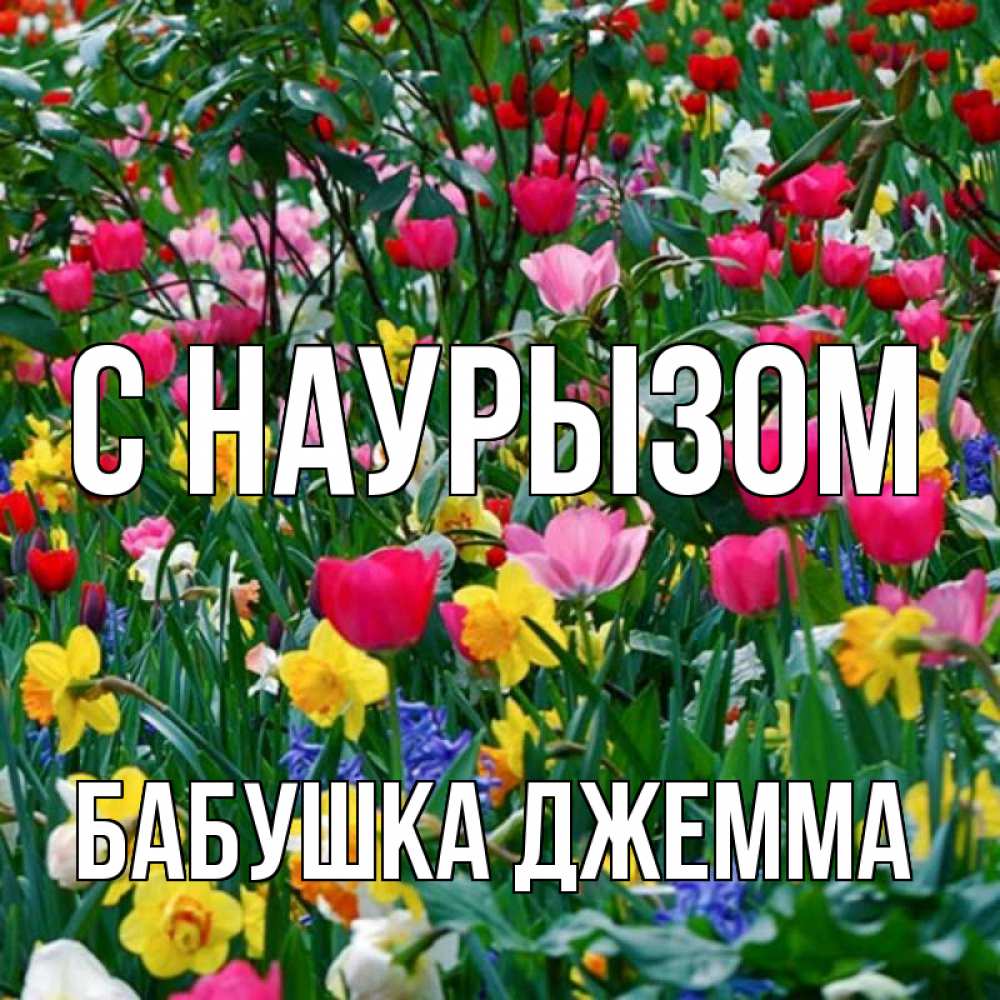 Открытка на каждый день с именем, Бабушка-Джемма С наурызом с наурызом праздником весны поздравления для женщины Прикольная открытка с пожеланием онлайн скачать бесплатно 