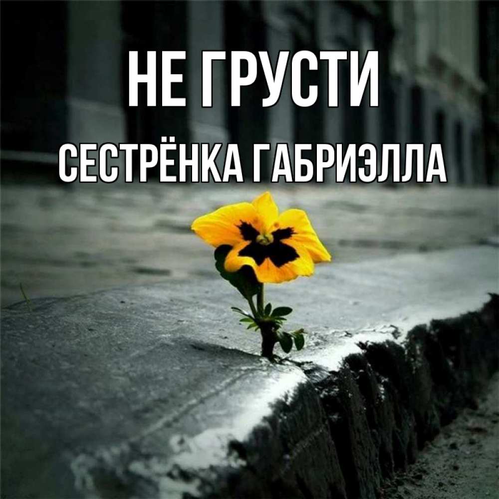 Открытка на каждый день с именем, Сестрёнка-Габриэлла Не грусти не сдавайся Прикольная открытка с пожеланием онлайн скачать бесплатно 