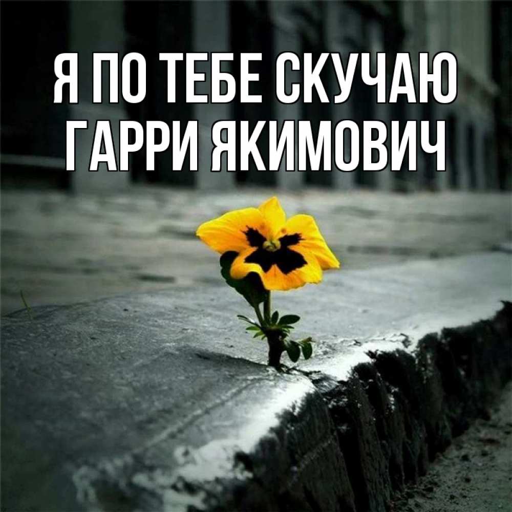 Картинка Я по тебе скучаю, Гарри Якимович
