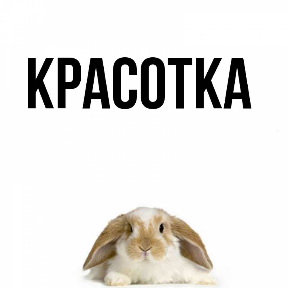 Открытка на каждый день с именем, красотка Главная подписать своими руками онлайн Прикольная открытка с пожеланием онлайн скачать бесплатно 