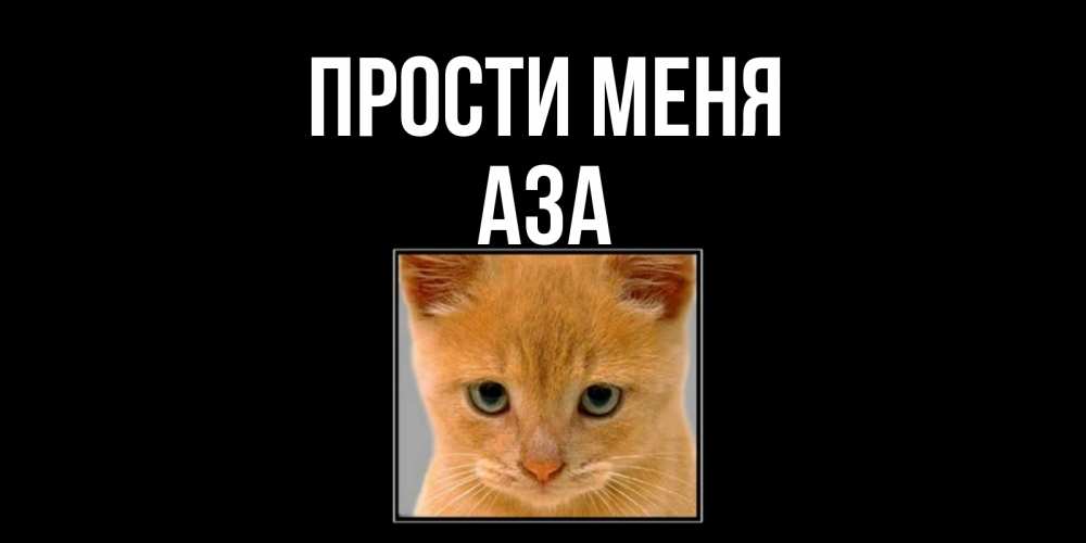 Открытка на каждый день с именем, Аза Прости меня рыжий грустный кот просит прощения Прикольная открытка с пожеланием онлайн скачать бесплатно 