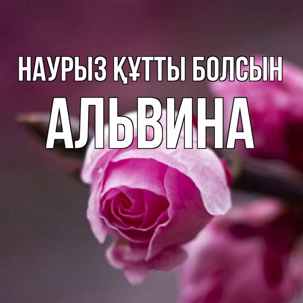 Открытка на каждый день с именем, Альвина Наурыз құтты болсын весна Прикольная открытка с пожеланием онлайн скачать бесплатно 