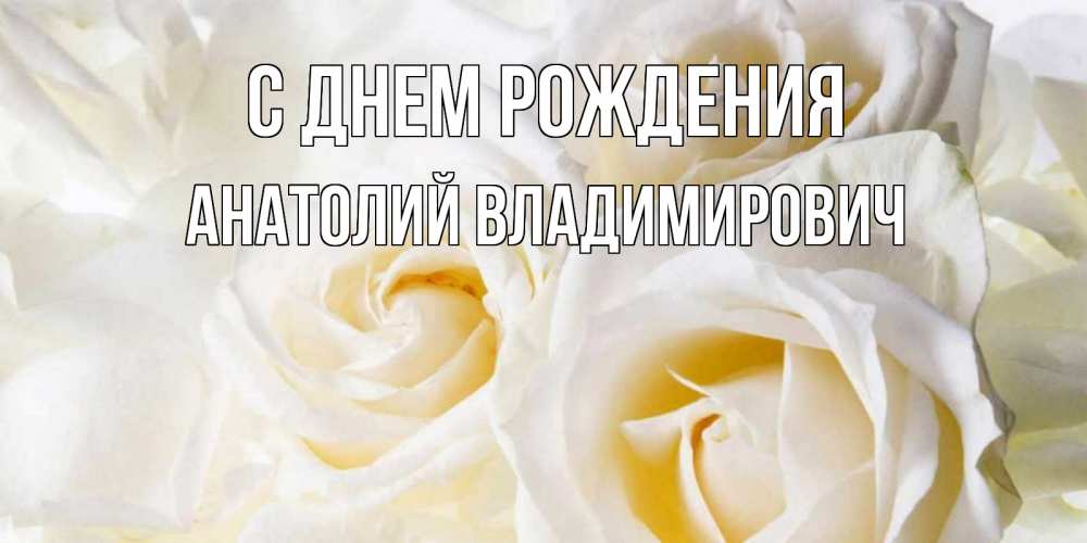 Открытка на каждый день с именем, Анатолий-Владимирович С днем рождения открыточки на день рождения любимым Прикольная открытка с пожеланием онлайн скачать бесплатно 