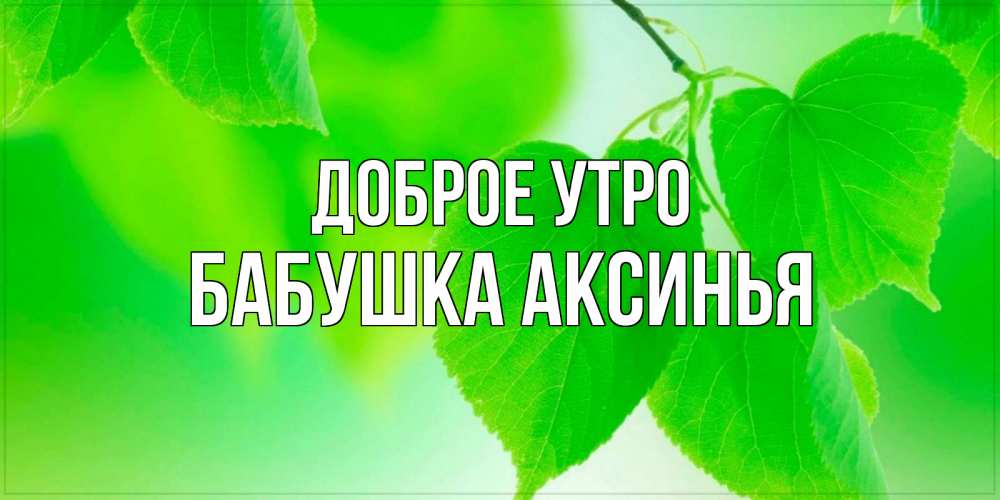 Открытка на каждый день с именем, Бабушка-Аксинья Доброе утро доброе утро с березовыми листьями Прикольная открытка с пожеланием онлайн скачать бесплатно 