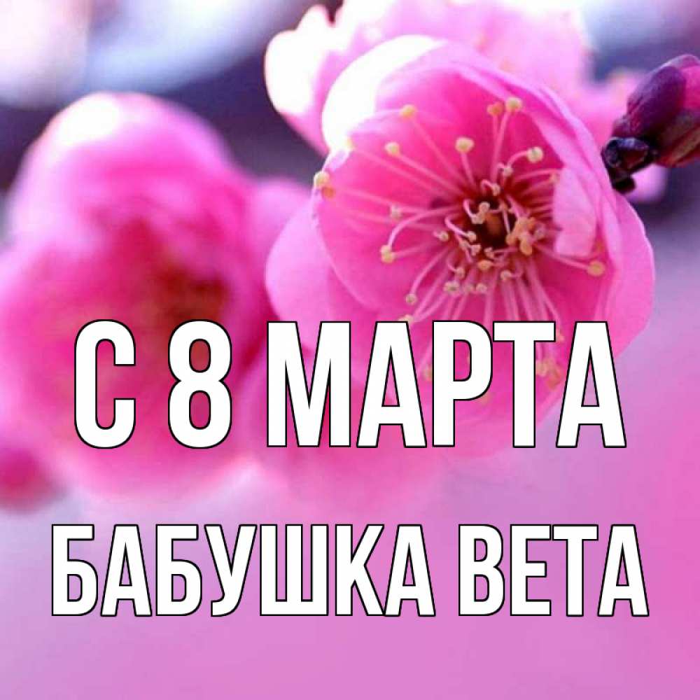 Открытка на каждый день с именем, Бабушка-Вета С 8 марта международный женский день Прикольная открытка с пожеланием онлайн скачать бесплатно 