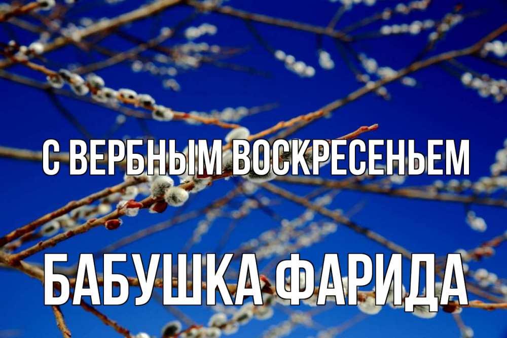 Открытка на каждый день с именем, Бабушка-Фарида С вербным воскресеньем верба Прикольная открытка с пожеланием онлайн скачать бесплатно 