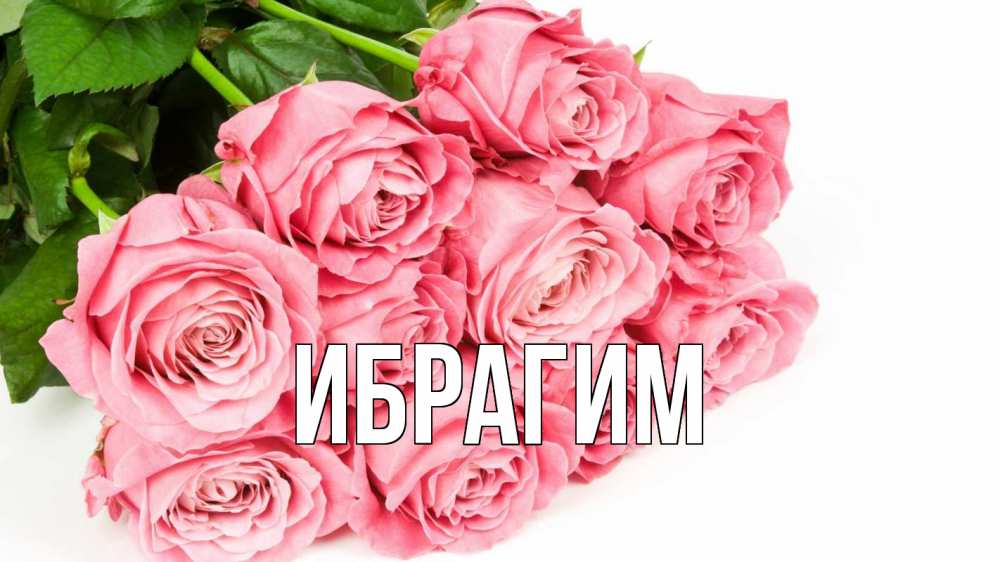 Открытка на каждый день с именем, Ибрагим Главная с днем бухгалтера 2 Прикольная открытка с пожеланием онлайн скачать бесплатно 