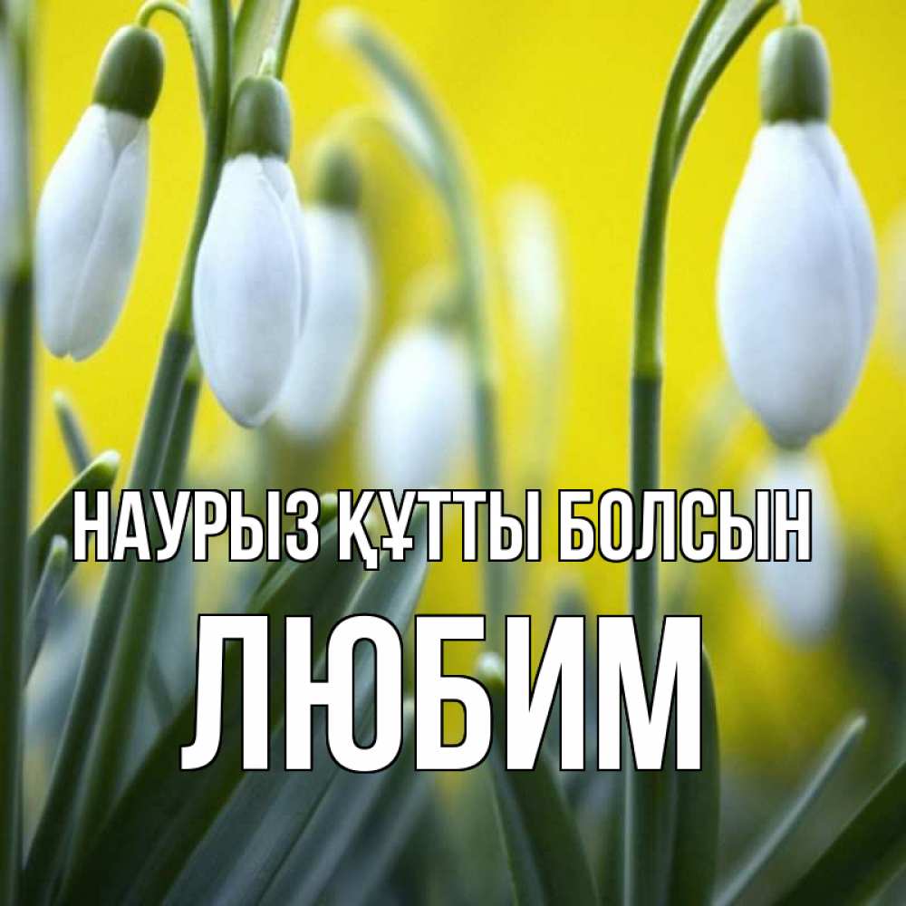 Открытка на каждый день с именем, Любим Наурыз құтты болсын весенние цветы Прикольная открытка с пожеланием онлайн скачать бесплатно 