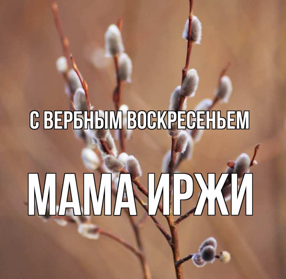 Открытка на каждый день с именем, Мама-Иржи С вербным воскресеньем верба Прикольная открытка с пожеланием онлайн скачать бесплатно 