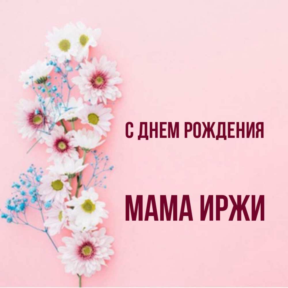 Открытка на каждый день с именем, Мама-Иржи С днем рождения Родная моя с днем рождения тебя картинка с цветами белыми и голубыми Прикольная открытка с пожеланием онлайн скачать бесплатно 