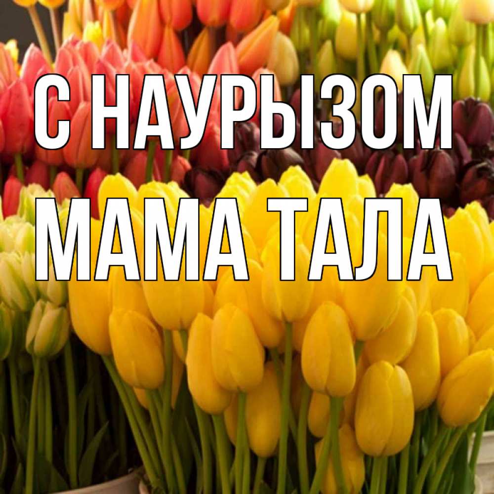 Открытка на каждый день с именем, Мама-Тала С наурызом цветы Прикольная открытка с пожеланием онлайн скачать бесплатно 
