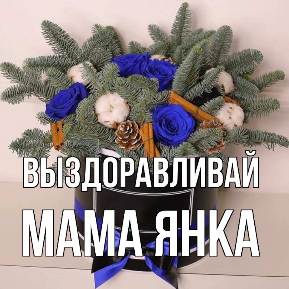 Открытка на каждый день с именем, Мама-Янка Выздоравливай короче кто то загрузил эти шишки Прикольная открытка с пожеланием онлайн скачать бесплатно 
