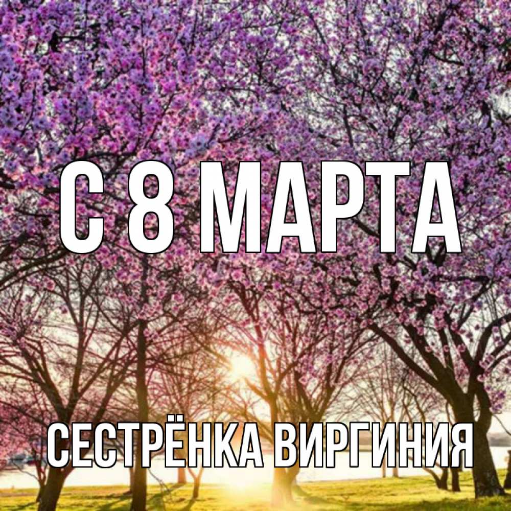 Открытка на каждый день с именем, Сестрёнка-Виргиния С 8 МАРТА международный женский день Прикольная открытка с пожеланием онлайн скачать бесплатно 