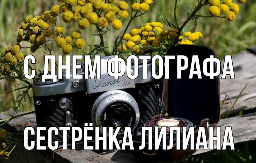 Открытка на каждый день с именем, Сестрёнка-Лилиана С днем фотографа с днем фотографа Прикольная открытка с пожеланием онлайн скачать бесплатно 