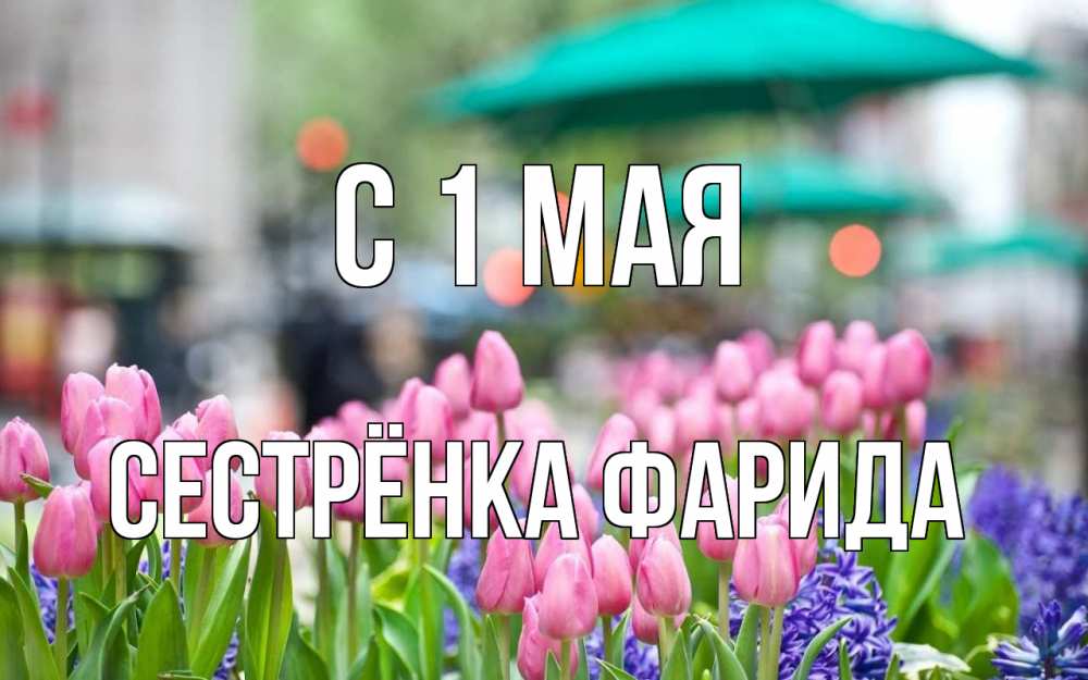 Открытка на каждый день с именем, Сестрёнка-Фарида С 1 мая С 1 мая Прикольная открытка с пожеланием онлайн скачать бесплатно 