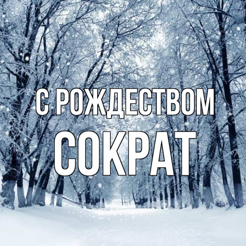 Открытка на каждый день с именем, Сократ С рождеством снег, лес, парк Прикольная открытка с пожеланием онлайн скачать бесплатно 