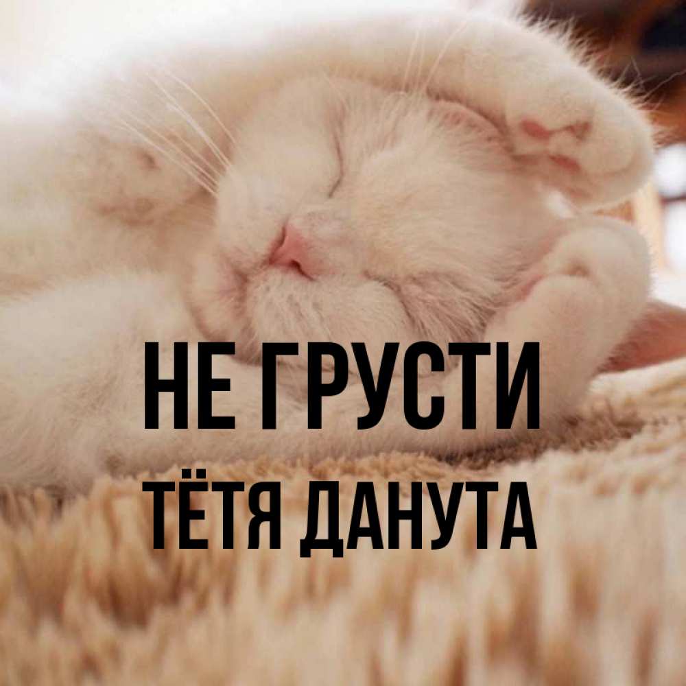Открытка на каждый день с именем, Тётя-Данута Не грусти Котенок спит Прикольная открытка с пожеланием онлайн скачать бесплатно 