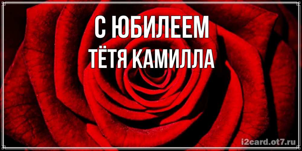 Открытка на каждый день с именем, Тётя-Камилла С юбилеем алая роза Прикольная открытка с пожеланием онлайн скачать бесплатно 
