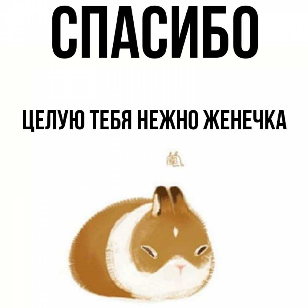 Спасибо Женечка