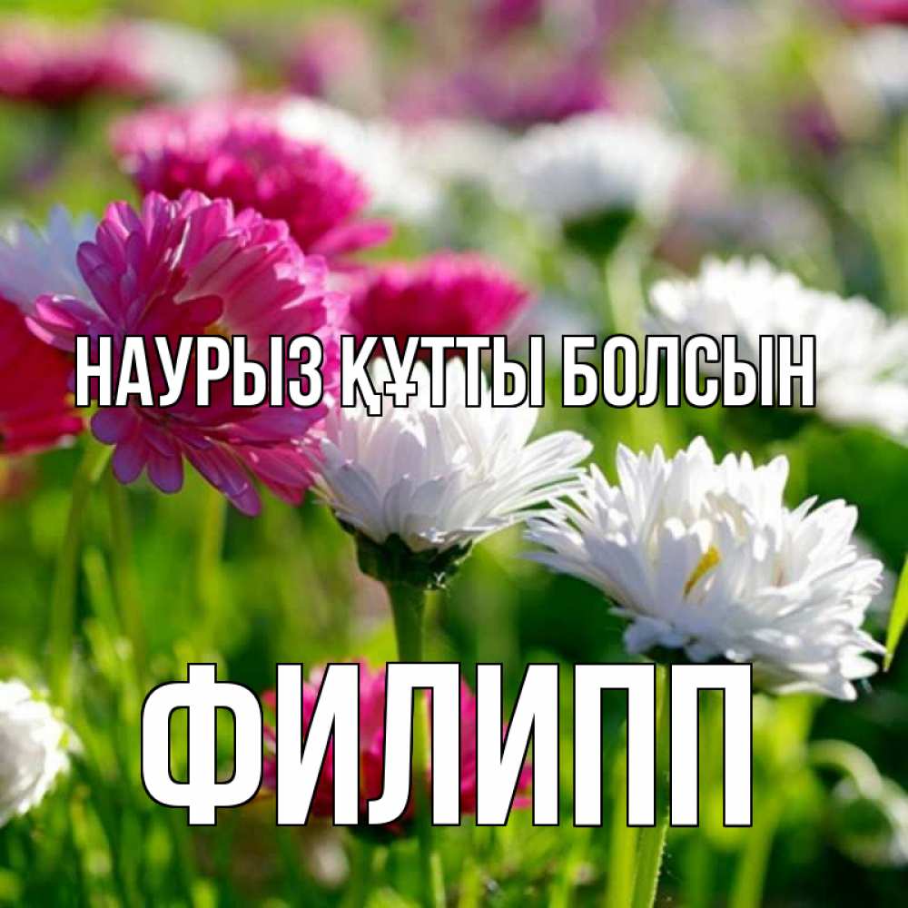 Открытка на каждый день с именем, Филипп Наурыз құтты болсын наурыз Прикольная открытка с пожеланием онлайн скачать бесплатно 