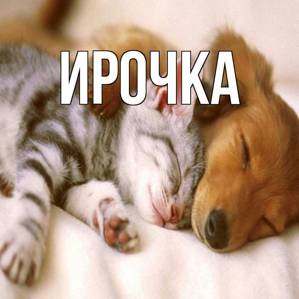 Картинка  с именем , ирочка