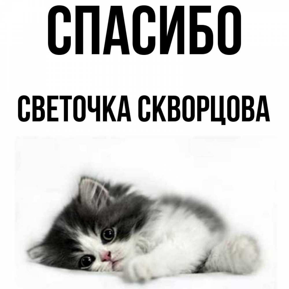 Спасибо светочка картинки