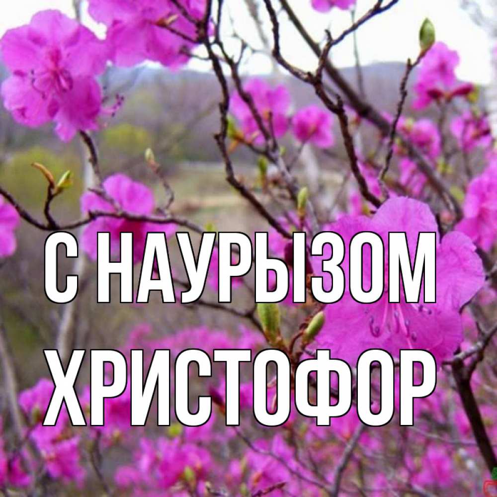 Открытка на каждый день с именем, Христофор С наурызом праздник весны наурыз Прикольная открытка с пожеланием онлайн скачать бесплатно 