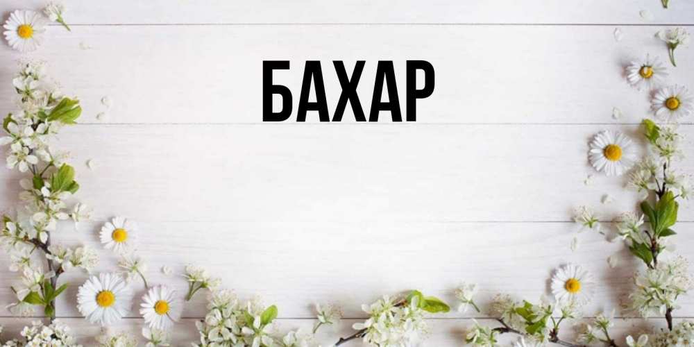 Открытка на каждый день с именем, Бахар Главная Воздушные шары Прикольная открытка с пожеланием онлайн скачать бесплатно 