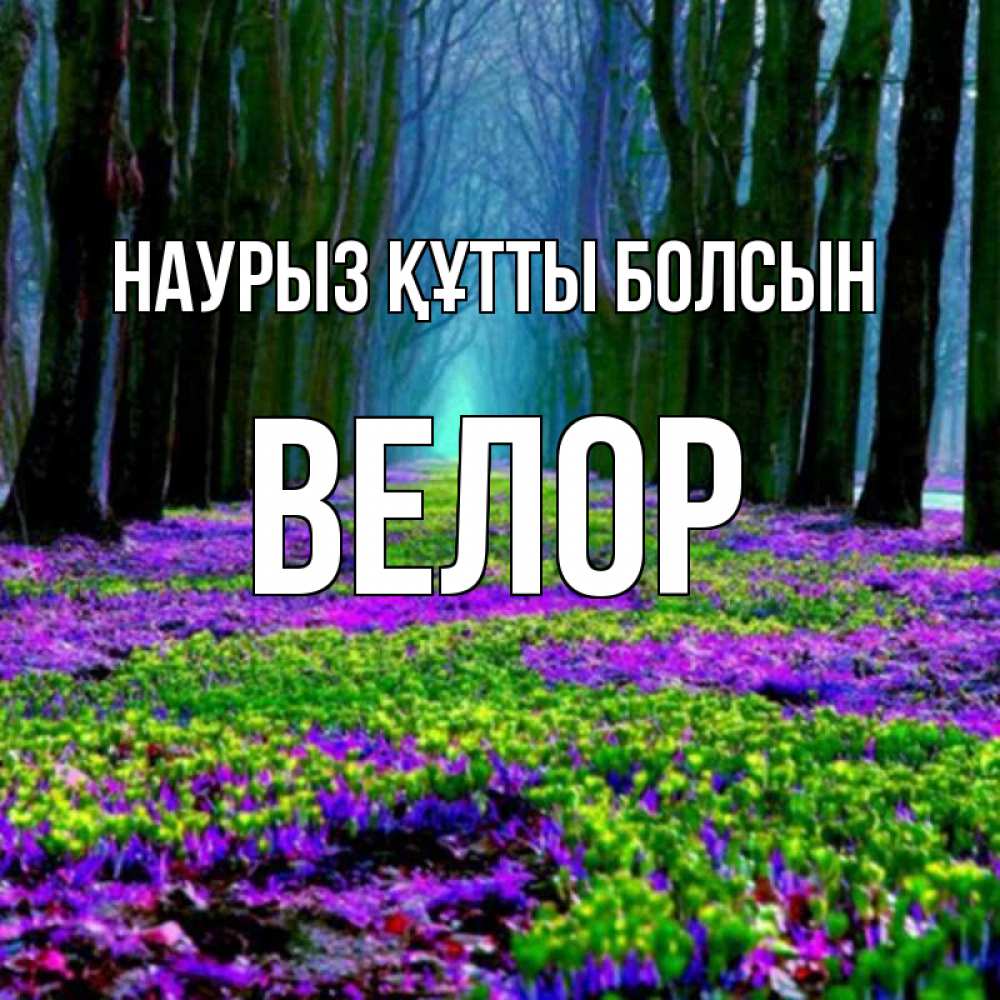 Открытка на каждый день с именем, Велор Наурыз құтты болсын фиолетовые цветы в лесу 1 Прикольная открытка с пожеланием онлайн скачать бесплатно 