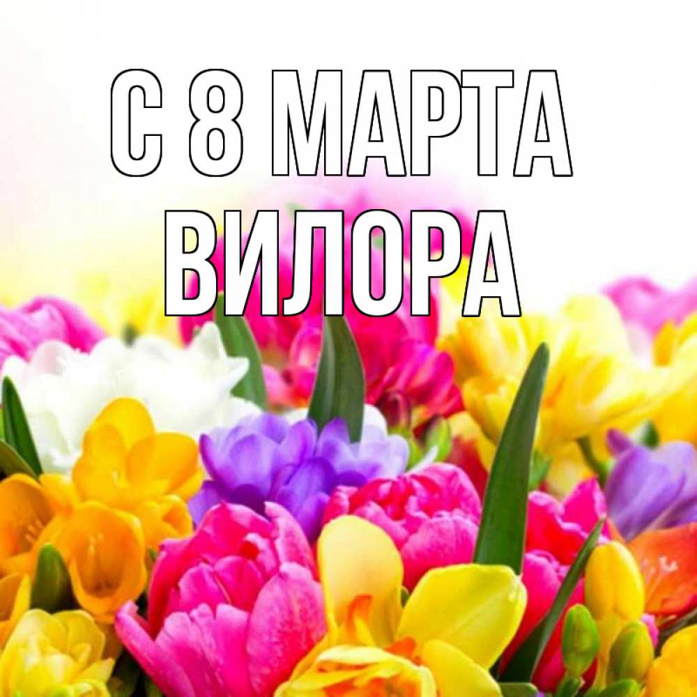 Открытка на каждый день с именем, Вилора С 8 марта тюльпаны Прикольная открытка с пожеланием онлайн скачать бесплатно 