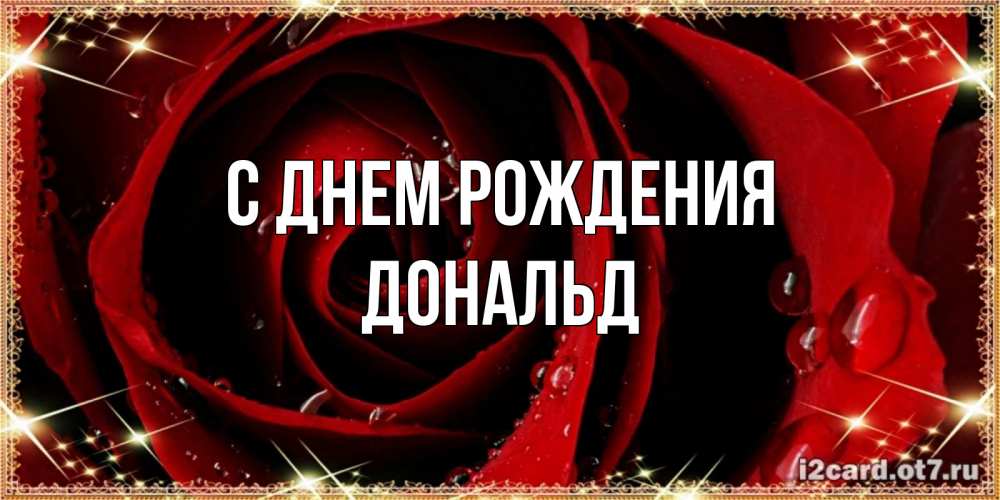 Открытка на каждый день с именем, Дональд С днем рождения цветок в росе на день рождения Прикольная открытка с пожеланием онлайн скачать бесплатно 