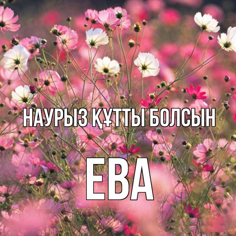 Открытка на каждый день с именем, Ева Наурыз құтты болсын красиво 1 Прикольная открытка с пожеланием онлайн скачать бесплатно 