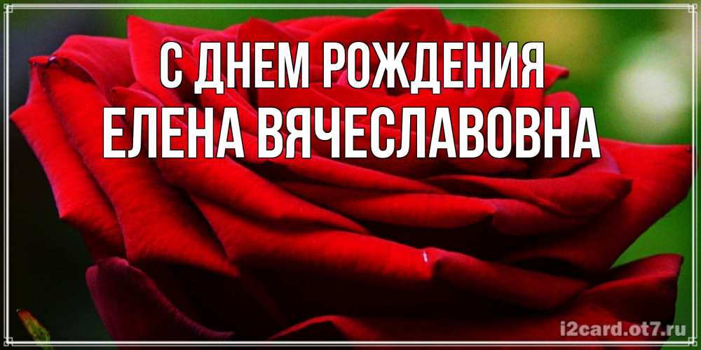 Картинка С днем рождения, Елена Вячеславовна