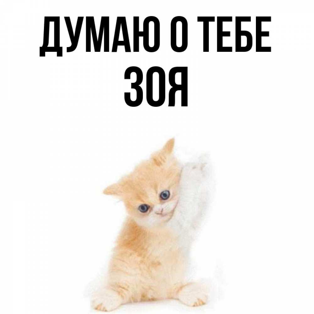 Открытка на каждый день с именем, Зоя Думаю о тебе зверушки и милота Прикольная открытка с пожеланием онлайн скачать бесплатно 
