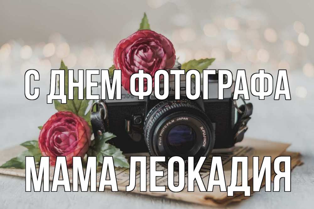 Открытка на каждый день с именем, Мама-Леокадия С днем фотографа с днем фотографа Прикольная открытка с пожеланием онлайн скачать бесплатно 
