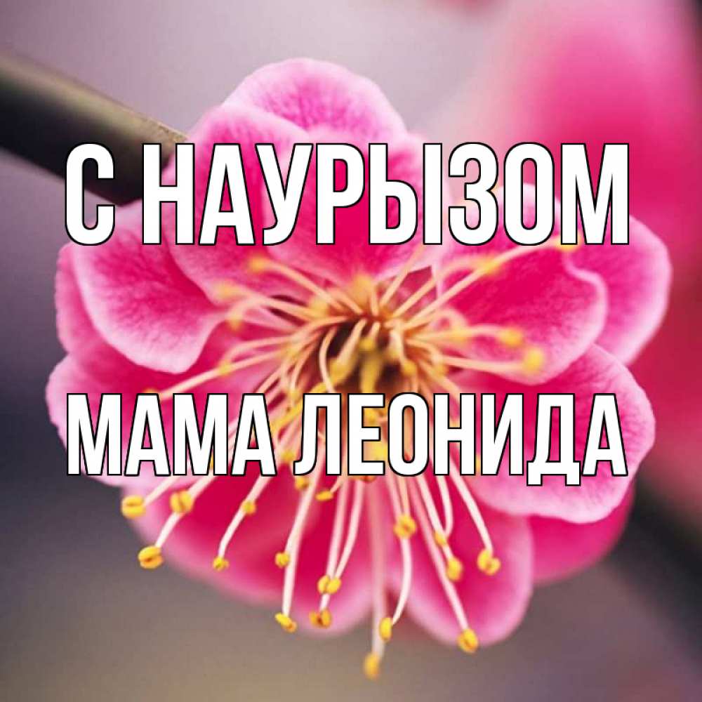 Открытка на каждый день с именем, Мама-Леонида С наурызом цветы Прикольная открытка с пожеланием онлайн скачать бесплатно 