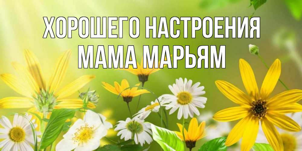 Открытка на каждый день с именем, Мама-Марьям Хорошего настроения цветы Прикольная открытка с пожеланием онлайн скачать бесплатно 
