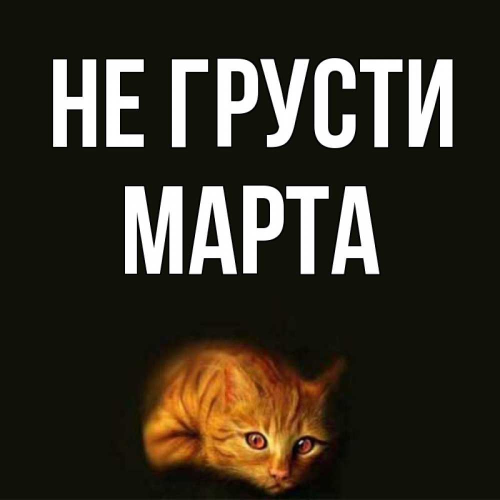 Открытка на каждый день с именем, Марта Не грусти лежащий кот в темноте Прикольная открытка с пожеланием онлайн скачать бесплатно 