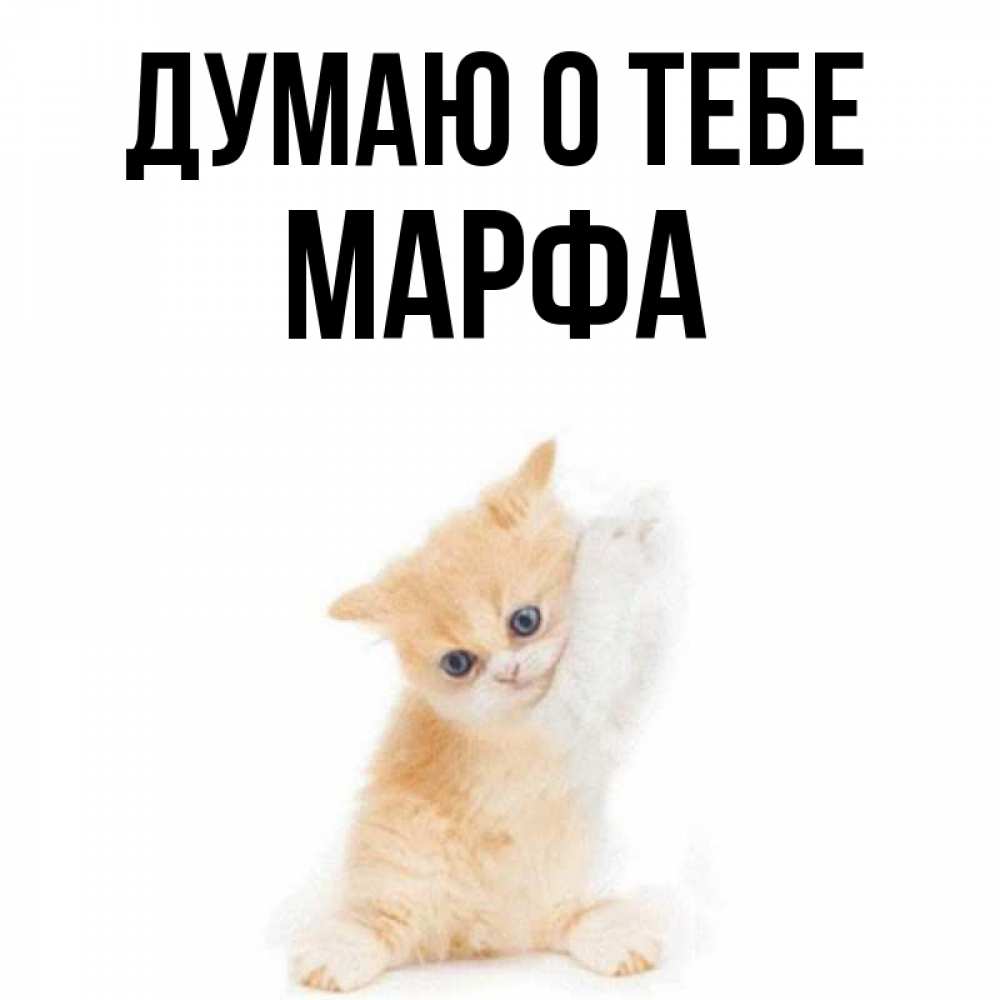 Открытка на каждый день с именем, Марфа Думаю о тебе зверушки и милота Прикольная открытка с пожеланием онлайн скачать бесплатно 