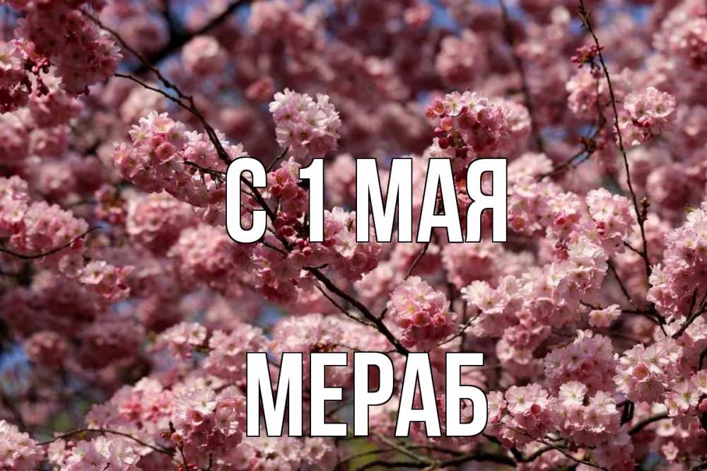 Открытка на каждый день с именем, Мераб С 1 мая С 1 мая Прикольная открытка с пожеланием онлайн скачать бесплатно 
