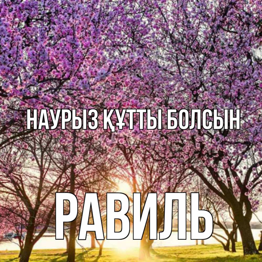 Открытка на каждый день с именем, Равиль Наурыз құтты болсын наурыз Прикольная открытка с пожеланием онлайн скачать бесплатно 