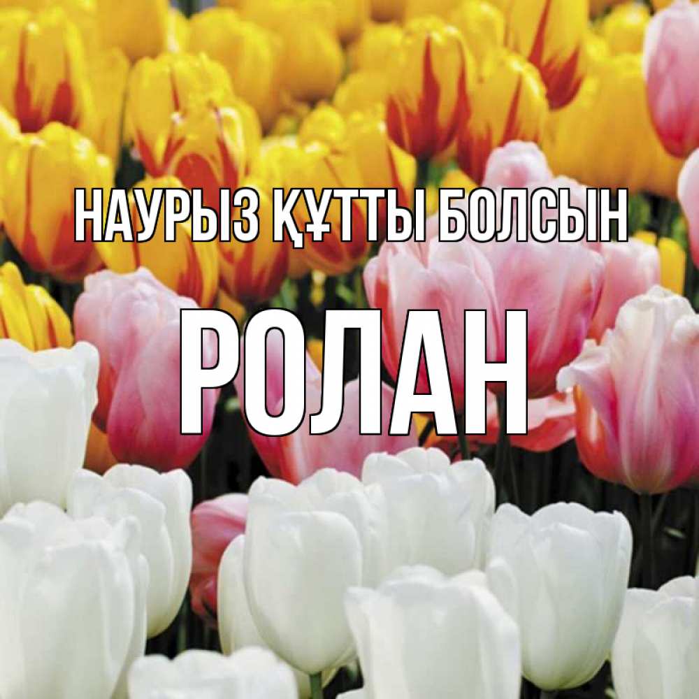 Открытка на каждый день с именем, Ролан Наурыз құтты болсын разноцветные цветы Прикольная открытка с пожеланием онлайн скачать бесплатно 