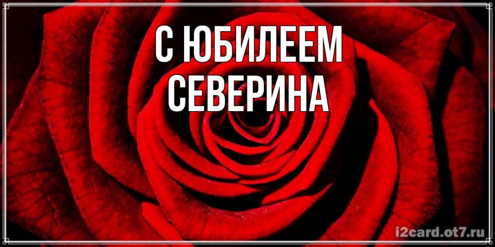 Открытка на каждый день с именем, Северина С юбилеем алая роза Прикольная открытка с пожеланием онлайн скачать бесплатно 