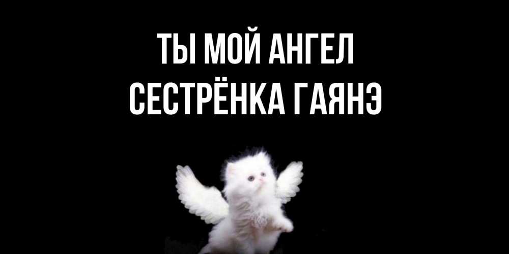 Открытка на каждый день с именем, Сестрёнка-Гаянэ Ты мой ангел Кот ангел Прикольная открытка с пожеланием онлайн скачать бесплатно 