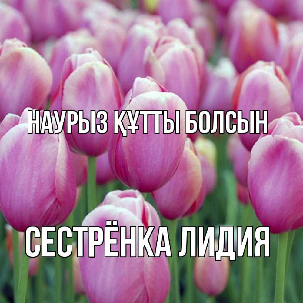 Картинка Наурыз құтты болсын, Сестрёнка Лидия