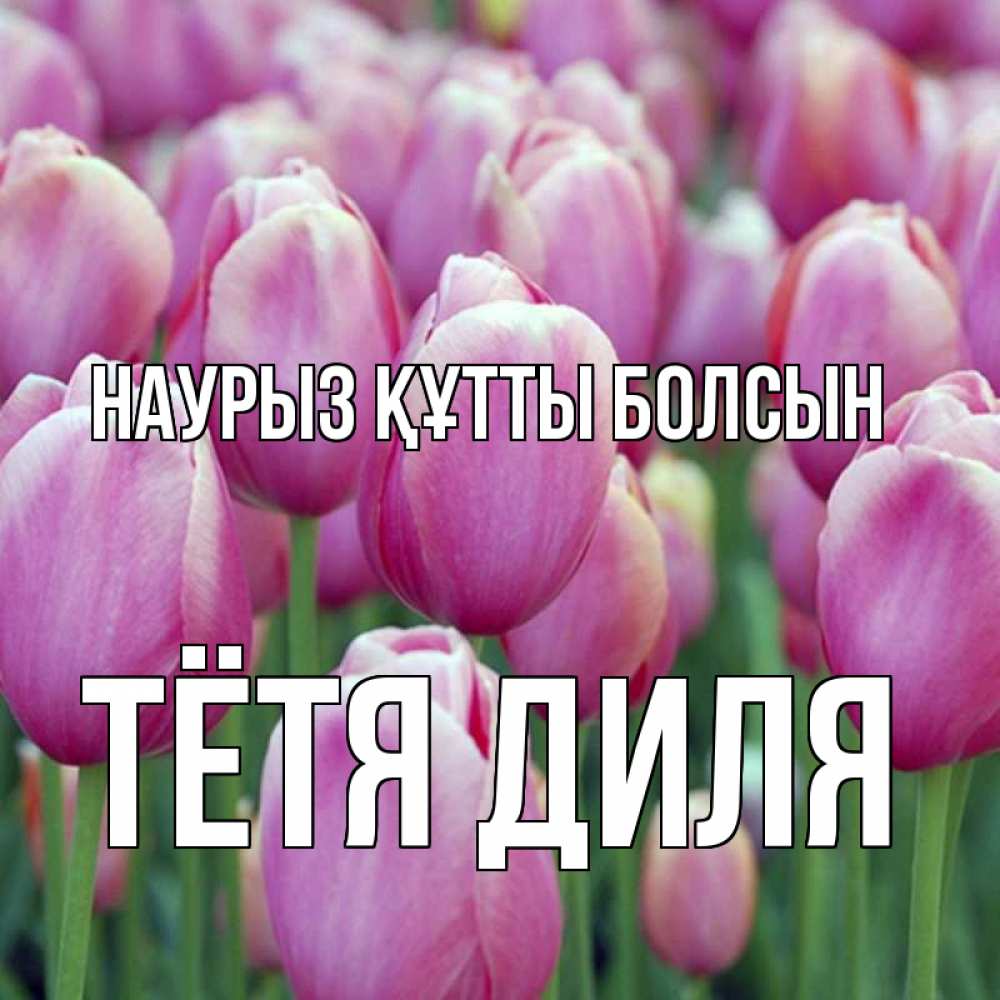 Открытка на каждый день с именем, Тётя-Диля Наурыз құтты болсын на наурыз  день 3 Прикольная открытка с пожеланием онлайн скачать бесплатно 